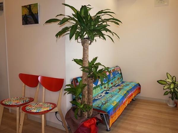 医療法人MoLead つながるクリニックアルバム写真2