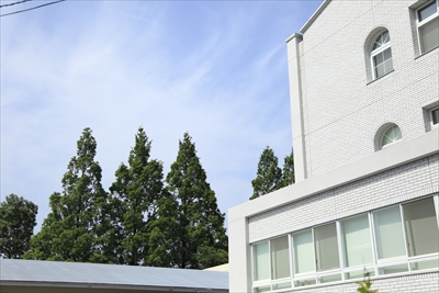 医療法人 とよみ会 仲宗根病院アルバム写真2