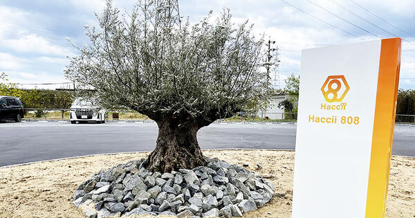 株式会社HACCHI SMILEの写真