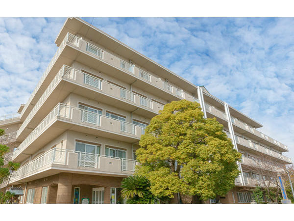 社会福祉法人聖徳会の写真