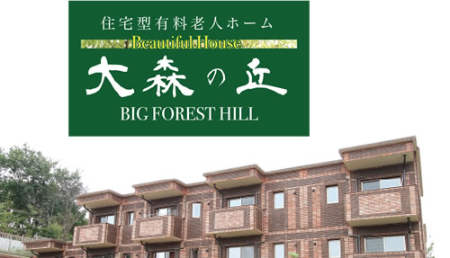 株式会社ソレイユ 大森の丘の写真