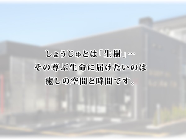社会福祉法人兼愛会 特別養護老人ホーム しょうじゅ美浜の写真