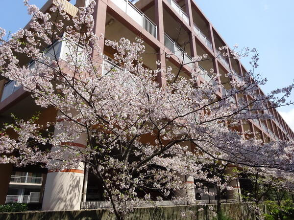 社会福祉法人 宗恵会 特別養護老人ホーム サンシャインの写真
