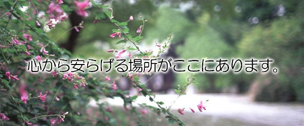 社会福祉法人 紅紫会の写真