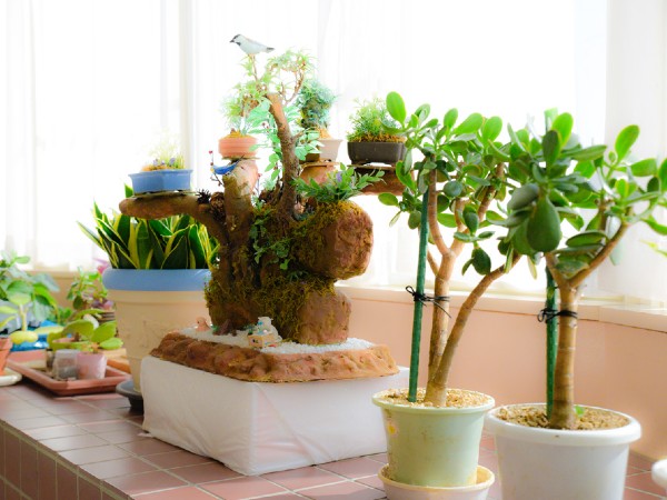 医療法人亀田病院 介護老人保健施設 グランドサン 亀田の写真