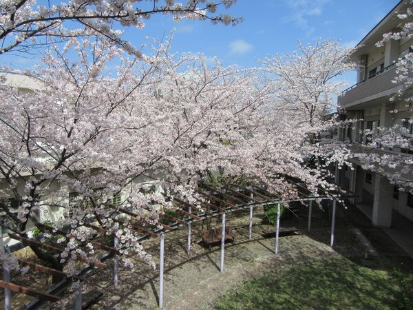 公益財団法人復光会 介護老人保健施設やすらぎの写真