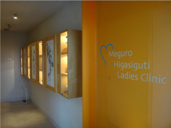 目黒東口レディースクリニックの写真