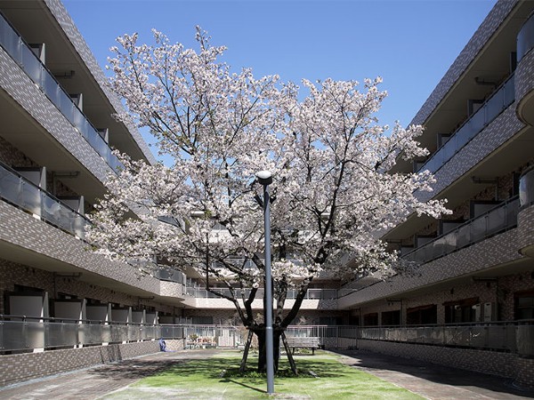 医療法人社団 慈誠会 介護老人保健施設 赤塚園の写真