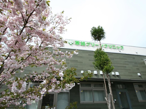 医療法人社団志優会 草加グリーンクリニックの写真