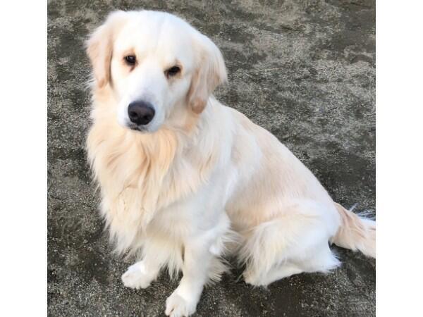 一般社団法人 なないろそらの家の写真