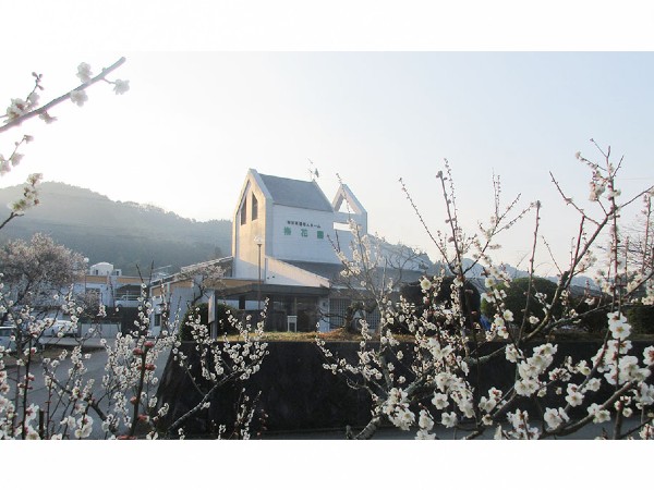社会福祉法人立花福祉会の写真