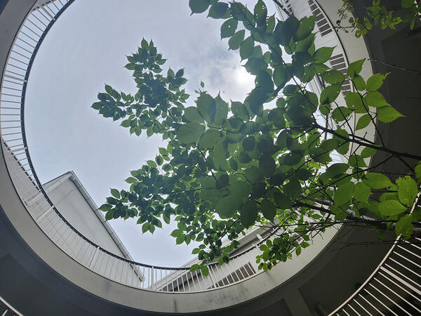 社会福祉法人千歳会 千歳 大久保の写真