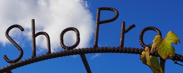 株式会社小学館集英社プロダクションの写真