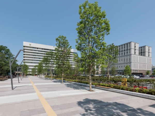 慶應義塾大学病院 整形外科学教室の写真