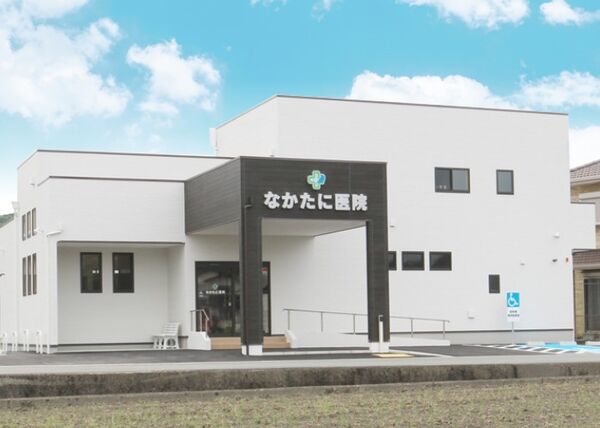 株式会社テラスイルミナの写真