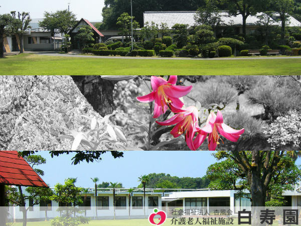 社会福祉法人 杏風会 介護老人福祉施設 白寿園の写真