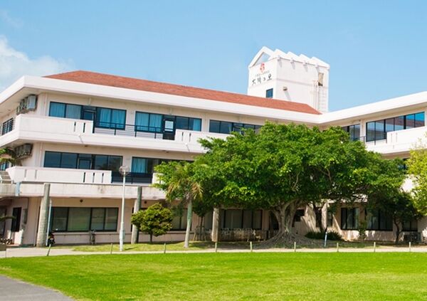 医療法人緑の会 太陽ぬ子保育園の写真