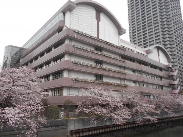 社会福祉法人奉優会 中央区立特別養護老人ホームマイホームはるみの写真