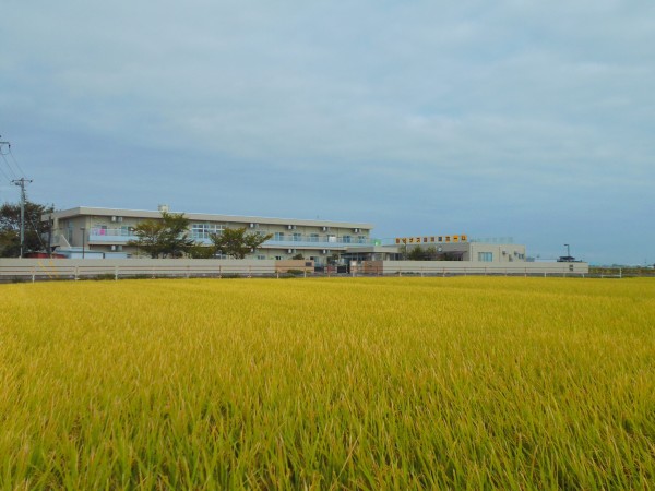 社会福祉法人ルピナス会 ルピナス鴻巣ホームの写真