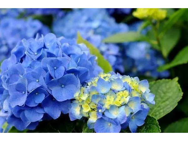 特定非営利活動法人 COM総合福祉研究所の写真