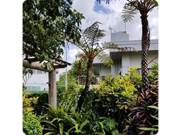 株式会社風磨　デイサービス風車の写真