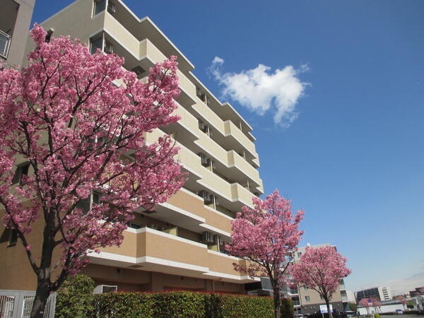 有限会社たちばな開発の写真