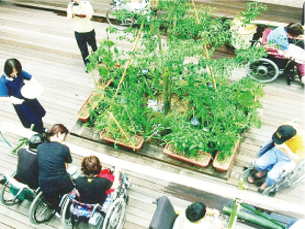社会福祉法人ハーモニーの写真