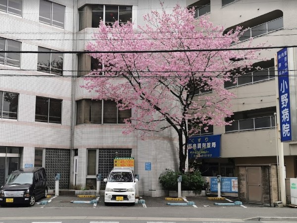 医療法人 小野病院の写真