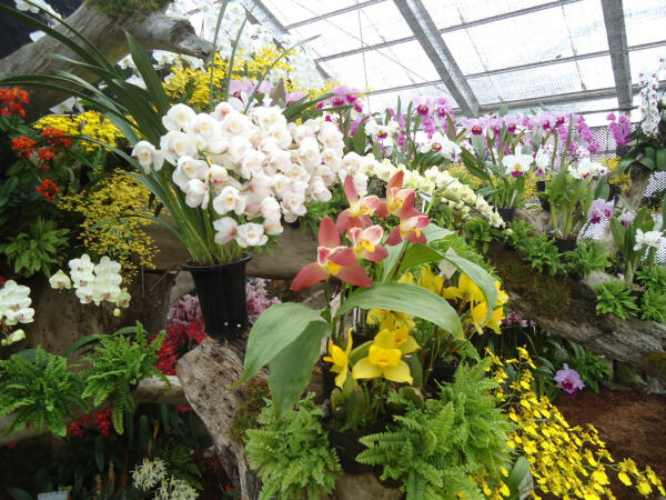 社会福祉法人 平元会 介護医療院 カトレアの写真