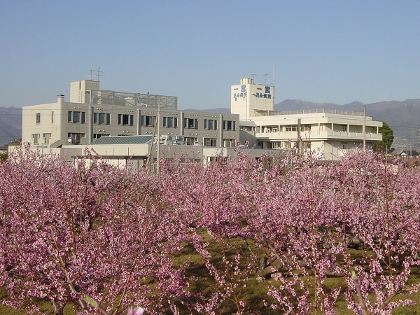 医療法人 桃花会 一宮温泉病院の写真