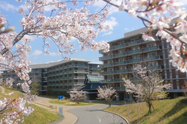 社会福祉法人 四天王寺福祉事業団　羽曳野市中圏域地域包括支援センターの写真
