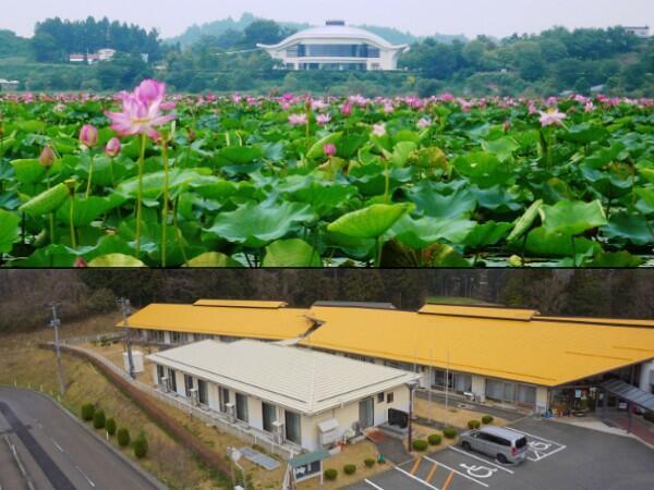社会福祉法人 迫川会の写真