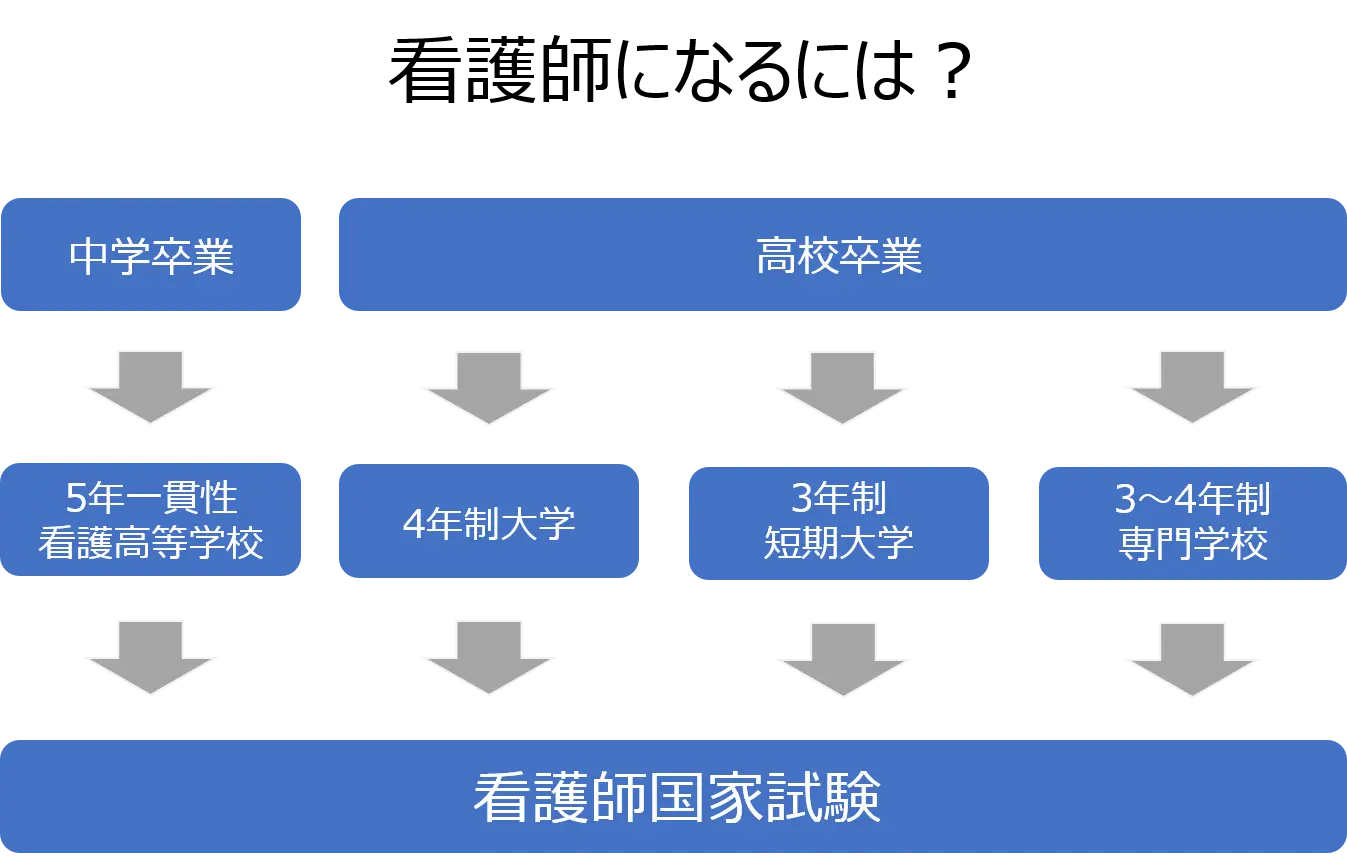 看護師になるためのルート図