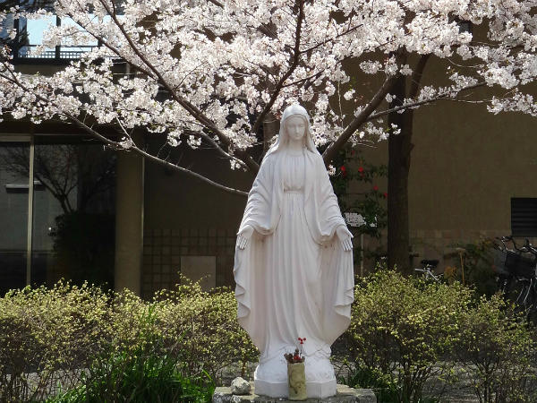 桜町病院（常勤）の調理師/調理員求人サブ写真2