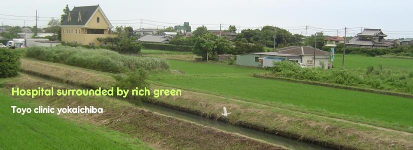 東葉クリニック八日市場(パート)の送迎ドライバー求人サブ写真1