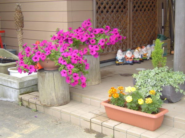 社会福祉法人 田尻福祉会 グループホーム ひだまり（常勤）の介護職求人メイン写真4