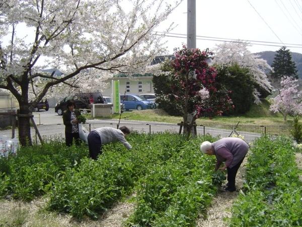 社会福祉法人 田尻福祉会 グループホーム ひだまり（常勤）の介護職求人メイン写真3