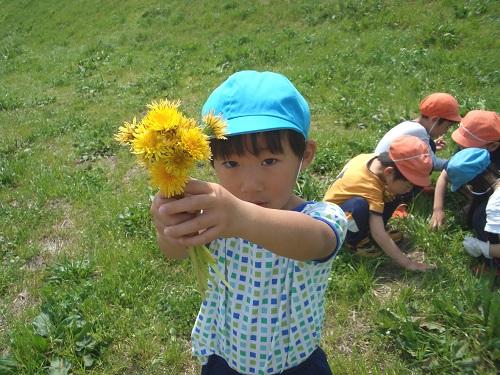 認可保育園コビープリスクールつつみの（常勤）の保育士求人メイン写真3