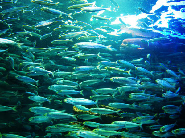 特別養護老人ホーム あぐに（常勤）の介護職求人サブ写真2