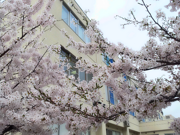 札樽病院（常勤）の介護職求人メイン写真4