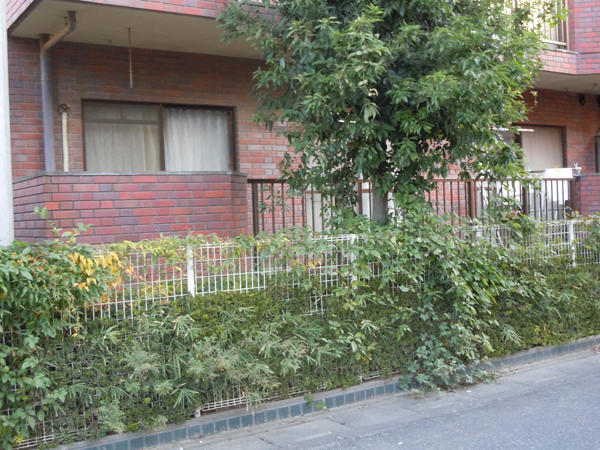 ケアホーム 我が家・グループホーム（夜勤専従/パート）の准看護師求人サブ写真1