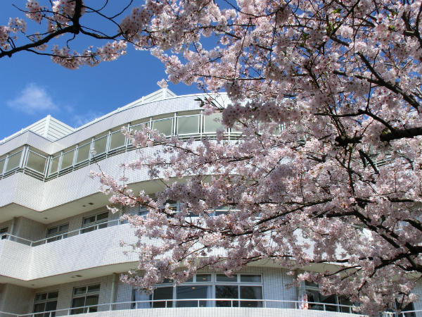 特別養護老人ホーム清心苑（常勤）の看護師求人メイン写真2