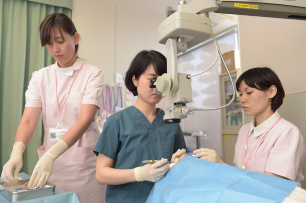 医療法人明世社 白井病院（常勤）の看護師求人メイン写真4