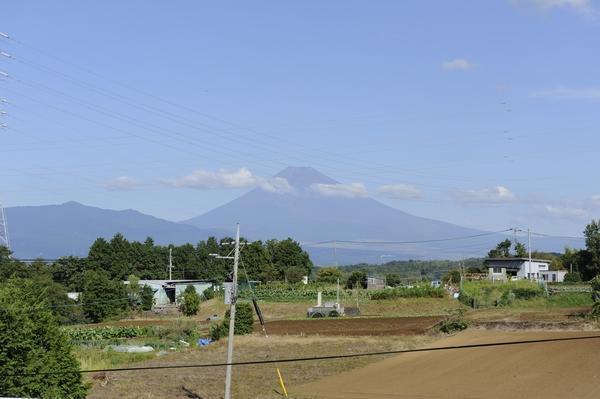 伊豆平和病院（常勤）の准看護師求人サブ写真1