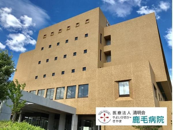 やよいがおか鹿毛病院の薬剤師求人の写真