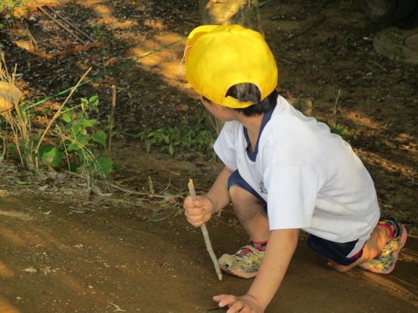 放課後等デイサービスハートっ子かすみがうら（常勤）の保育士求人メイン写真2