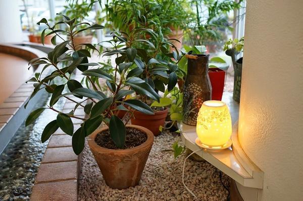 のぞみ整形外科クリニック西条(パート)の医療事務求人サブ写真2