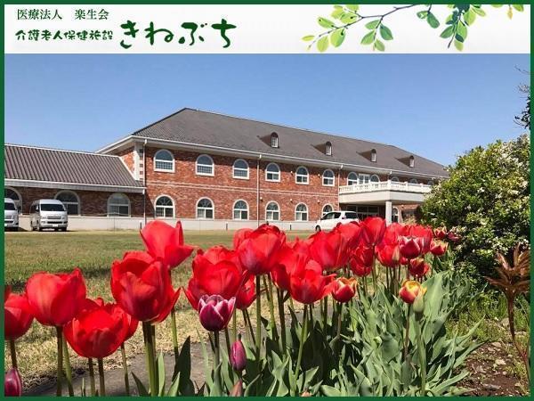 介護老人保健施設きねぶち（常勤）の看護師求人の写真