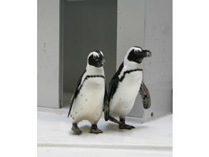 老人保健施設 瑞穂(支援相談員/常勤)の社会福祉士求人サブ写真1