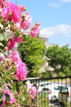社会医療法人健生会 吉田病院（常勤）の看護助手求人メイン写真4